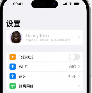 壤塘appleID维修服务iPhone设置中Apple ID显示为灰色无法使用 