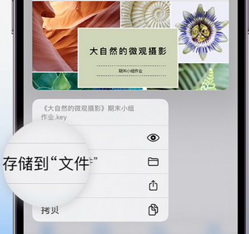 壤塘apple维修中心分享iPhone文件应用中存储和找到下载文件