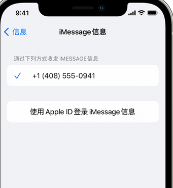 壤塘apple维修iPhone上无法正常发送iMessage信息 