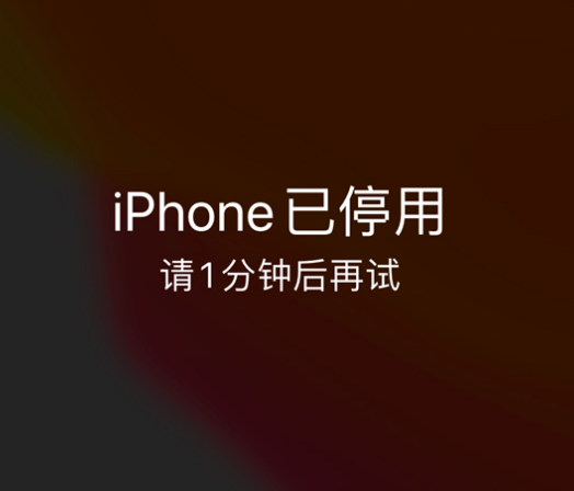 壤塘苹果手机维修分享:iPhone 显示“不可用”或“已停用”怎么办？还能保留数据吗？ 