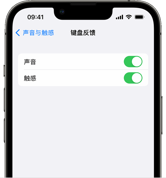 壤塘苹果14维修店分享如何在 iPhone 14 机型中使用触感键盘 