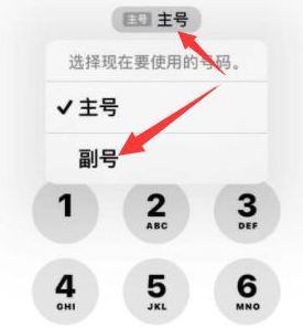 壤塘苹果14维修店分享iPhone 14 Pro Max使用副卡打电话的方法 