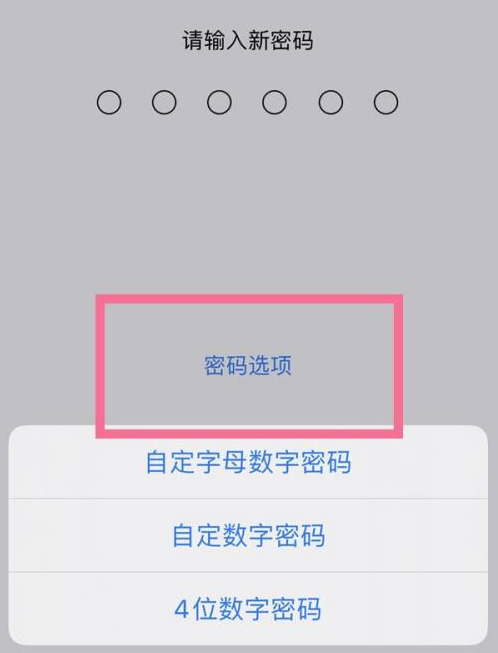 壤塘苹果14维修分享iPhone 14plus设置密码的方法 