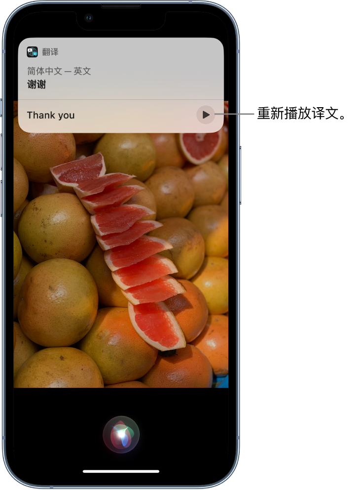 壤塘苹果14维修分享 iPhone 14 机型中使用 Siri：了解 Siri 能帮你做什么 