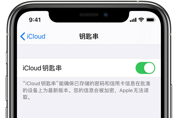 壤塘苹果手机维修分享在 iPhone 上开启 iCloud 钥匙串之后会储存哪些信息 