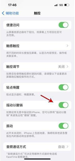 壤塘苹果手机维修分享iPhone手机如何设置摇一摇删除文字 